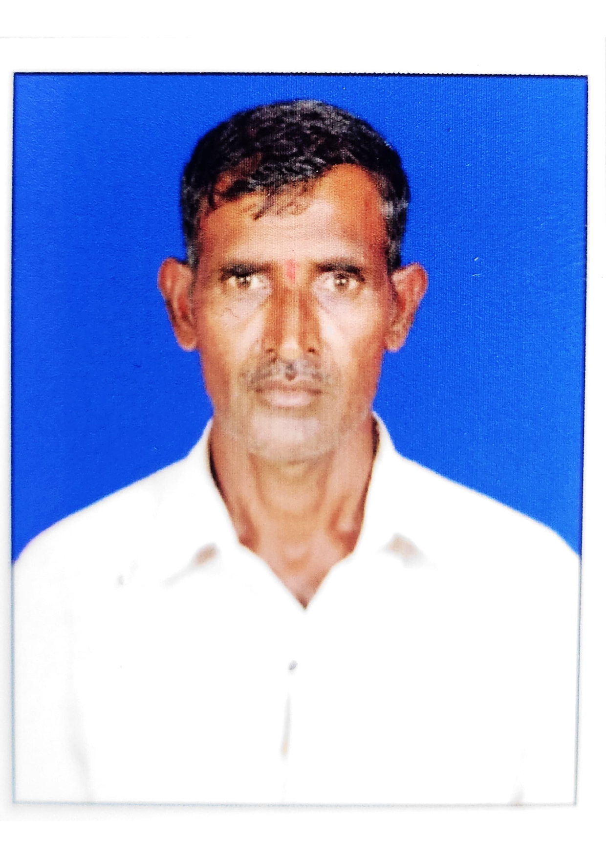 सदस्य