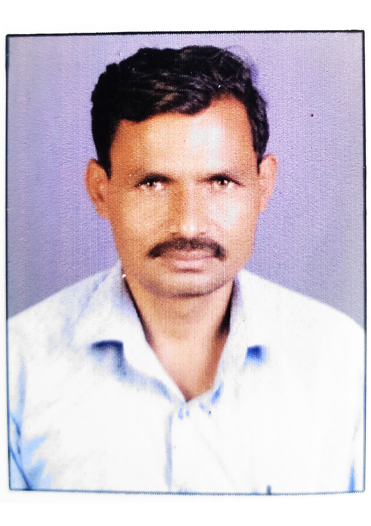 सदस्य